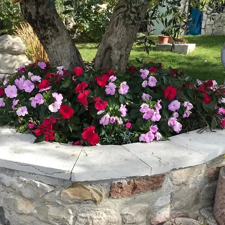 Appartamento Appartamento Rosa
