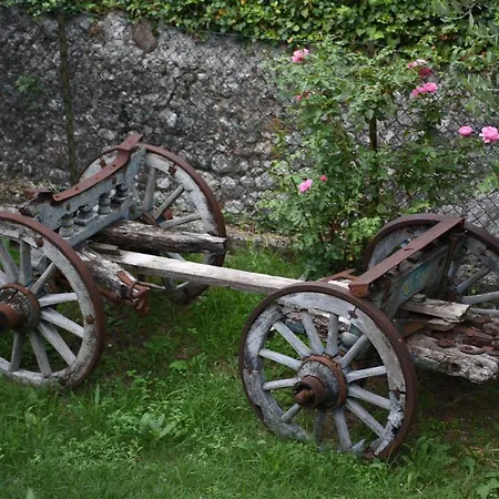 Appartamento Rosa